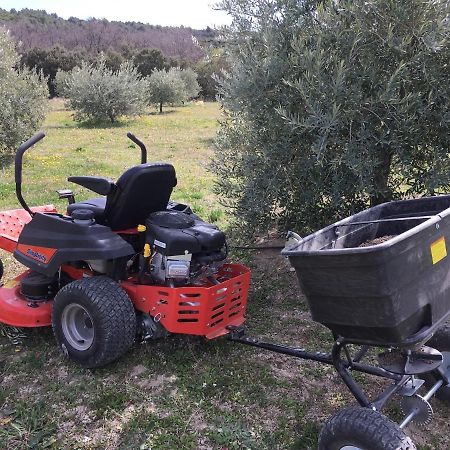 Ferme Oleicole Les Callis Gordes Exterior photo